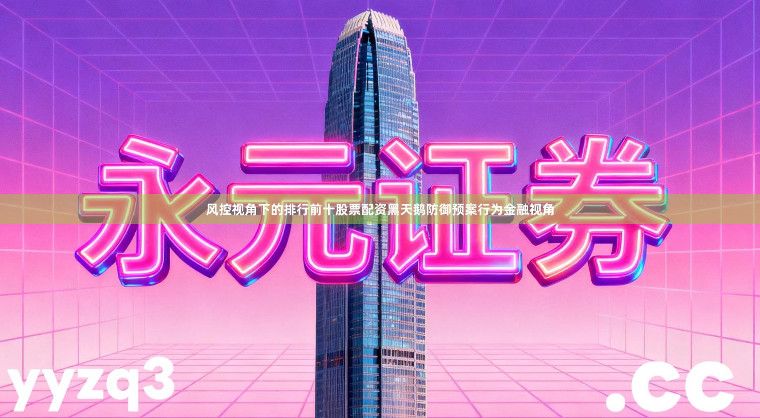 风控视角下的排行前十股票配资黑天鹅防御预案行为金融视角